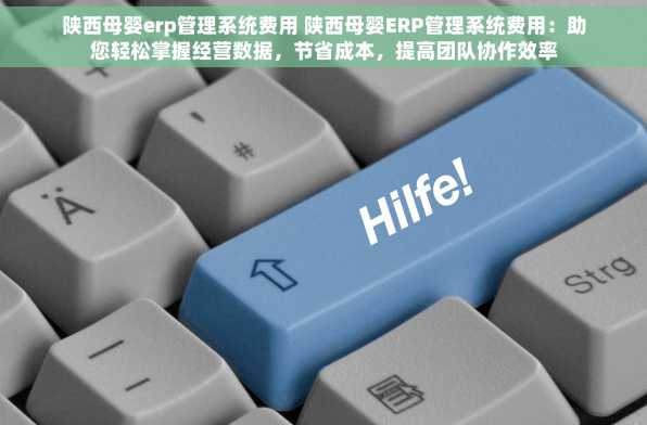 陕西母婴erp管理系统费用 陕西母婴ERP管理系统费用：助您轻松掌握经营数据，节省成本，提高团队协作效率