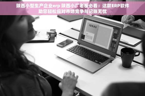 陕西小型生产企业erp 陕西小厂老板必看：这款ERP软件助您轻松应对市场竞争与记账无忧