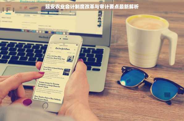 延安农业会计制度改革与审计要点最新解析