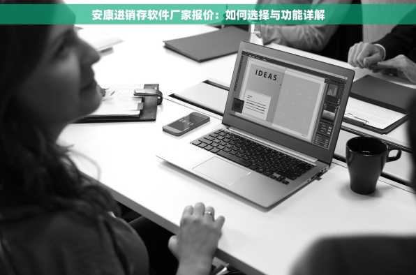 安康进销存软件厂家报价：如何选择与功能详解