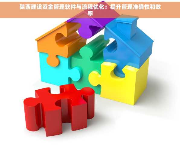 陕西建设资金管理软件与流程优化：提升管理准确性和效率
