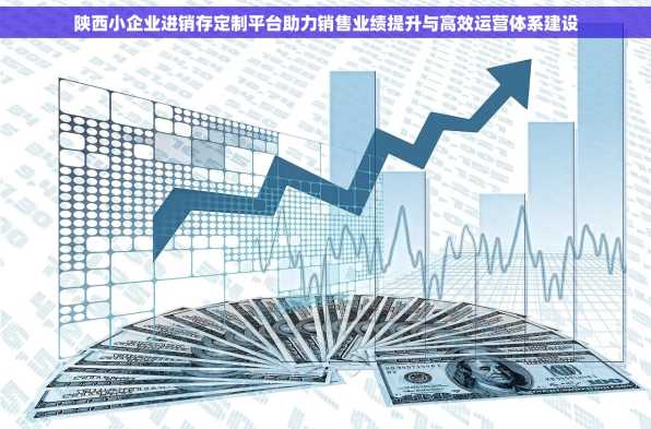 陕西小企业进销存定制平台助力销售业绩提升与高效运营体系建设