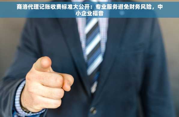 商洛代理记账收费标准大公开：专业服务避免财务风险，中小企业福音