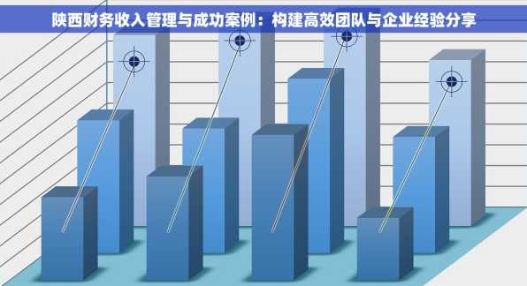 陕西财务收入管理与成功案例：构建高效团队与企业经验分享