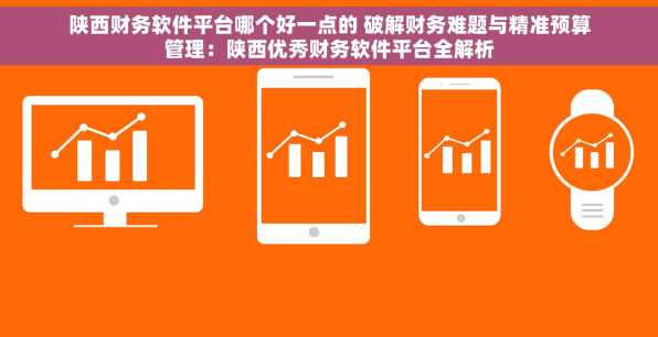 陕西财务软件平台哪个好一点的 破解财务难题与精准预算管理：陕西优秀财务软件平台全解析