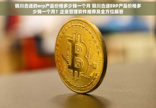 铜川合适的erp产品价格多少钱一个月 铜川合适ERP产品价格多少钱一个月？企业管理软件推荐及全方位解答