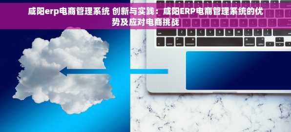 咸阳erp电商管理系统 创新与实践：咸阳ERP电商管理系统的优势及应对电商挑战