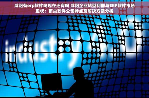 咸阳有erp软件吗现在还有吗 咸阳企业转型利器与ERP软件市场现状：顶尖软件公司特点及解决方案分析