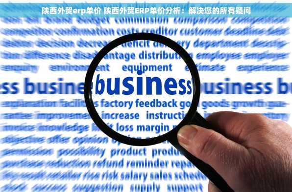 陕西外贸erp单价 陕西外贸ERP单价分析：解决您的所有疑问