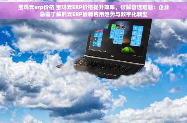宝鸡云erp价格 宝鸡云ERP价格提升效率，破解管理难题：企业急需了解的云ERP最新应用趋势与数字化转型