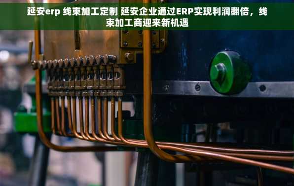 延安erp 线束加工定制 延安企业通过ERP实现利润翻倍，线束加工商迎来新机遇