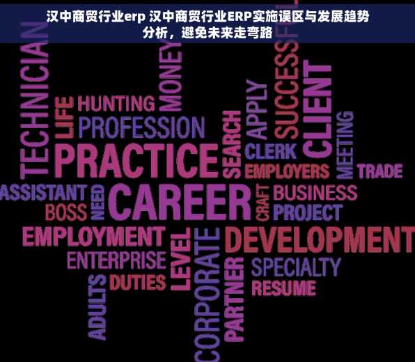 汉中商贸行业erp 汉中商贸行业ERP实施误区与发展趋势分析，避免未来走弯路