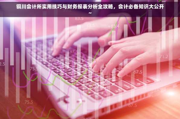 铜川会计所实用技巧与财务报表分析全攻略，会计必备知识大公开~