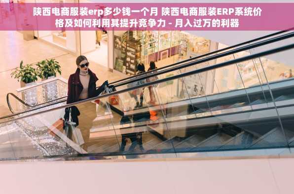 陕西电商服装erp多少钱一个月 陕西电商服装ERP系统价格及如何利用其提升竞争力 - 月入过万的利器