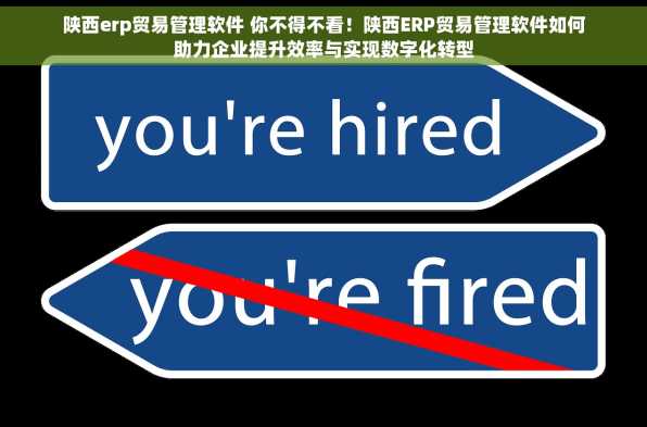 陕西erp贸易管理软件 你不得不看！陕西ERP贸易管理软件如何助力企业提升效率与实现数字化转型