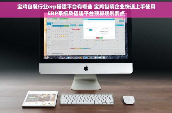 宝鸡包装行业erp搭建平台有哪些 宝鸡包装企业快速上手使用ERP系统及搭建平台预算规划要点