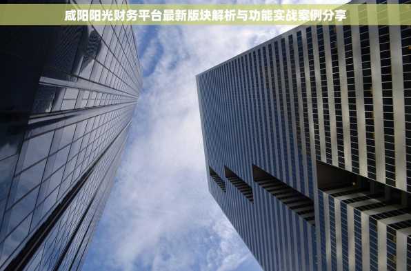 咸阳阳光财务平台最新版块解析与功能实战案例分享