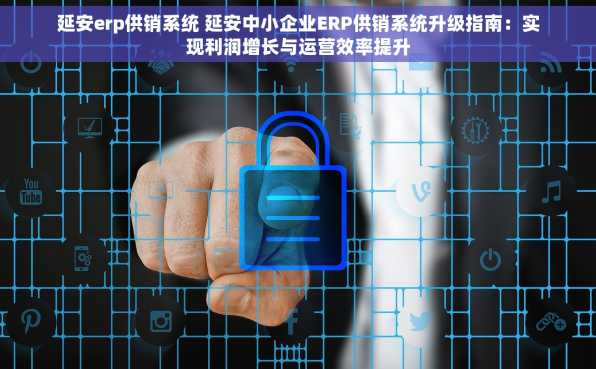 延安erp供销系统 延安中小企业ERP供销系统升级指南：实现利润增长与运营效率提升