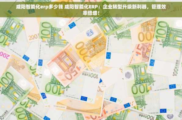 咸阳智能化erp多少钱 咸阳智能化ERP：企业转型升级新利器，管理效率倍增！