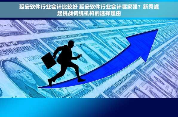 延安软件行业会计比较好 延安软件行业会计哪家强？新秀崛起挑战传统机构的选择理由
