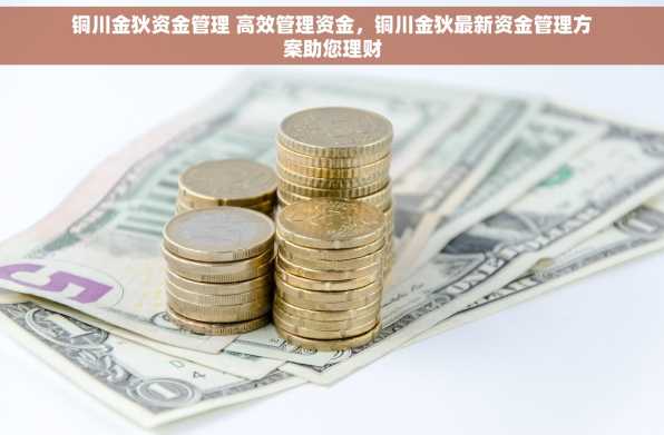 铜川金狄资金管理 高效管理资金，铜川金狄最新资金管理方案助您理财