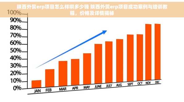 陕西外贸erp项目怎么样啊多少钱 陕西外贸erp项目成功案例与培训教程，价格及详情揭秘