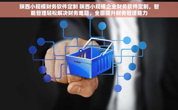 陕西小规模财务软件定制 陕西小规模企业财务软件定制，智能管理轻松解决财务难题，全面提升财务管理能力