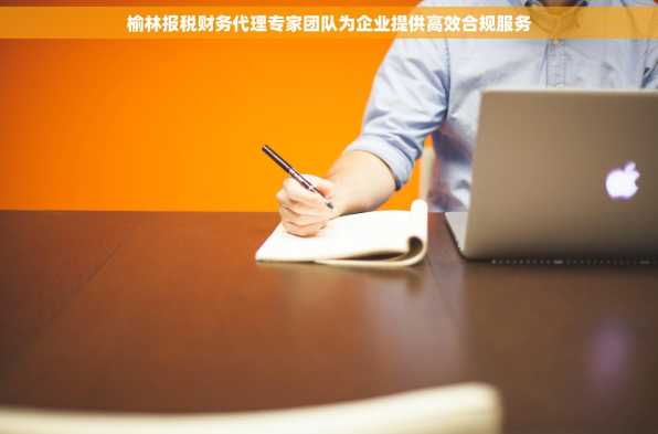 榆林报税财务代理专家团队为企业提供高效合规服务