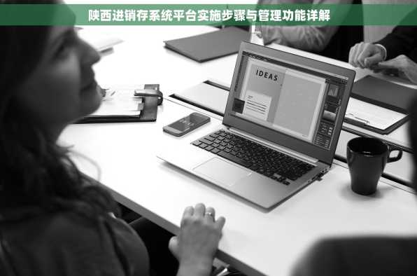 陕西进销存系统平台实施步骤与管理功能详解
