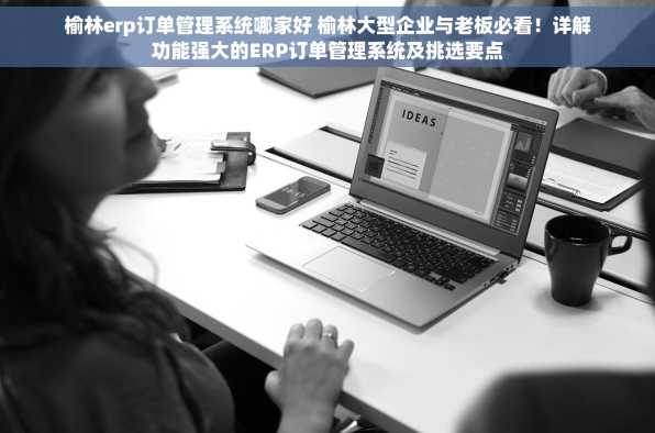 榆林erp订单管理系统哪家好 榆林大型企业与老板必看！详解功能强大的ERP订单管理系统及挑选要点