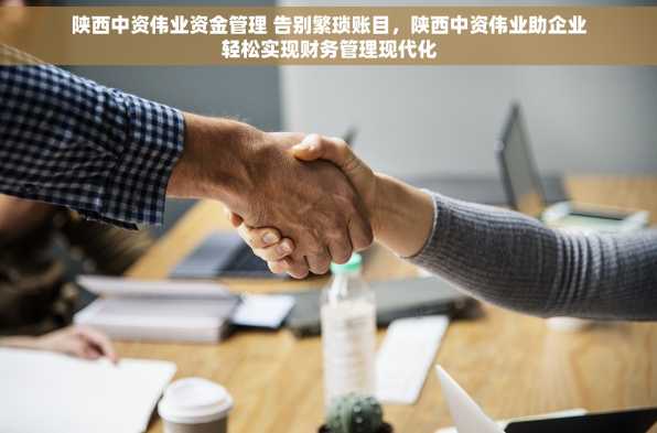陕西中资伟业资金管理 告别繁琐账目，陕西中资伟业助企业轻松实现财务管理现代化