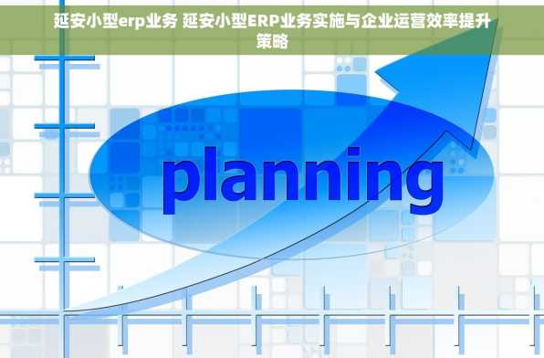 延安小型erp业务 延安小型ERP业务实施与企业运营效率提升策略
