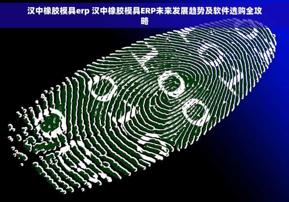 汉中橡胶模具erp 汉中橡胶模具ERP未来发展趋势及软件选购全攻略