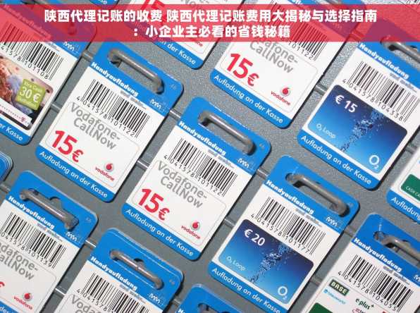 陕西代理记账的收费 陕西代理记账费用大揭秘与选择指南：小企业主必看的省钱秘籍