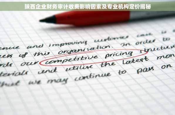 陕西企业财务审计收费影响因素及专业机构定价揭秘