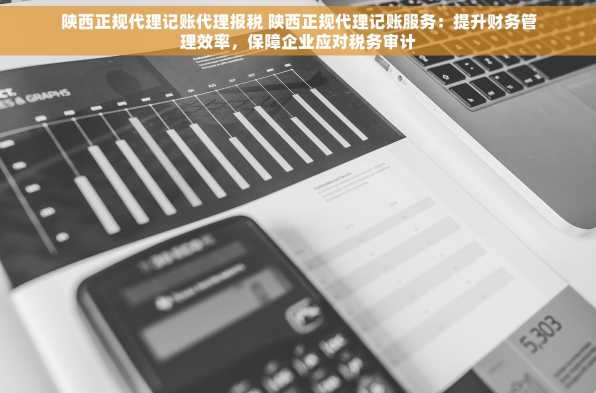 陕西正规代理记账代理报税 陕西正规代理记账服务：提升财务管理效率，保障企业应对税务审计