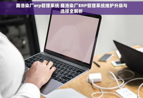 商洛染厂erp管理系统 商洛染厂ERP管理系统维护升级与选择全解析