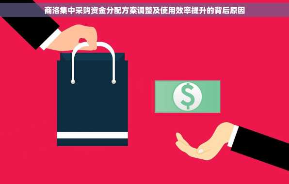 商洛集中采购资金分配方案调整及使用效率提升的背后原因