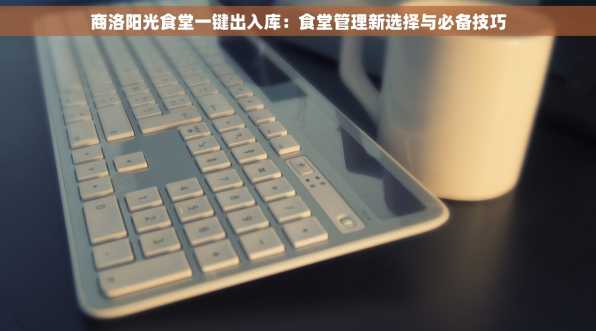 商洛阳光食堂一键出入库：食堂管理新选择与必备技巧