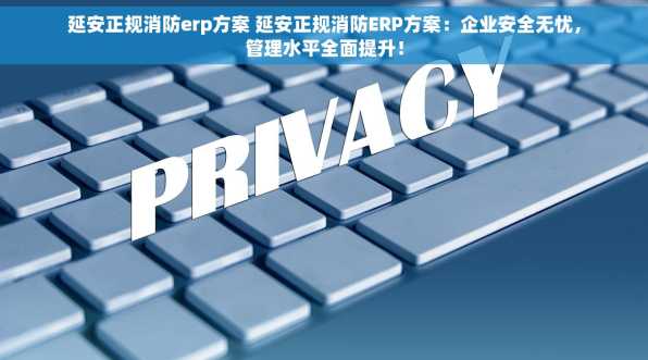 延安正规消防erp方案 延安正规消防ERP方案：企业安全无忧，管理水平全面提升！