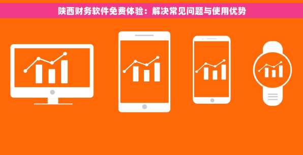 陕西财务软件免费体验：解决常见问题与使用优势