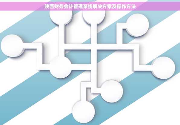 陕西财务会计管理系统解决方案及操作方法