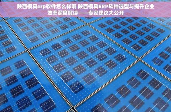 陕西模具erp软件怎么样啊 陕西模具ERP软件选型与提升企业效率深度解读——专家建议大公开