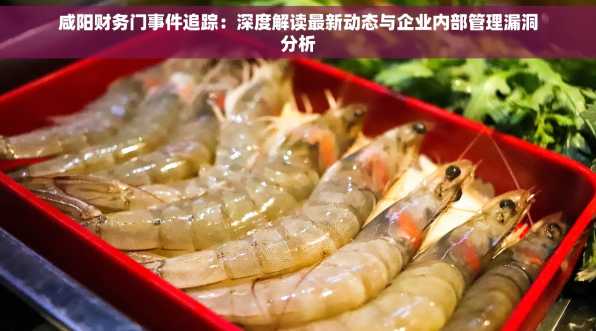 咸阳财务门事件追踪：深度解读最新动态与企业内部管理漏洞分析