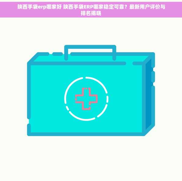 陕西手袋erp哪家好 陕西手袋ERP哪家稳定可靠？最新用户评价与排名揭晓
