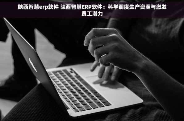 陕西智慧erp软件 陕西智慧ERP软件：科学调度生产资源与激发员工潜力