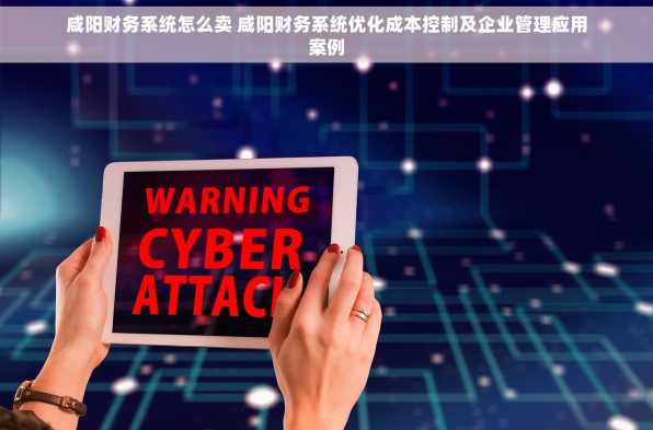 咸阳财务系统怎么卖 咸阳财务系统优化成本控制及企业管理应用案例