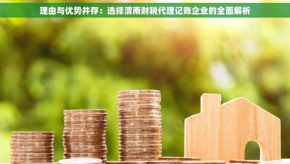 理由与优势并存：选择渭南财税代理记账企业的全面解析