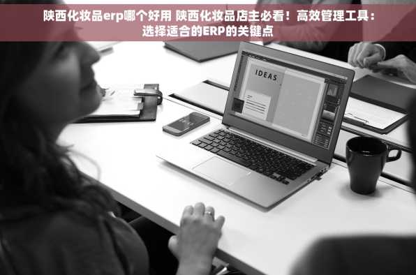 陕西化妆品erp哪个好用 陕西化妆品店主必看！高效管理工具：选择适合的ERP的关键点