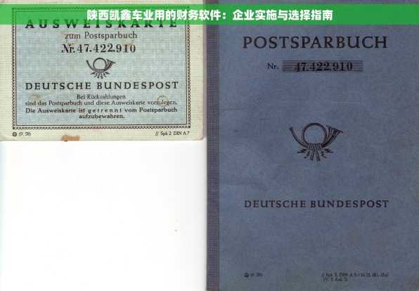 陕西凯鑫车业用的财务软件：企业实施与选择指南